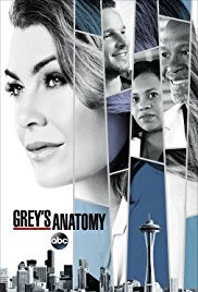 Сериал Анатомия страсти 14 Сезон все серии подряд / Grey's Anatomy (2017)