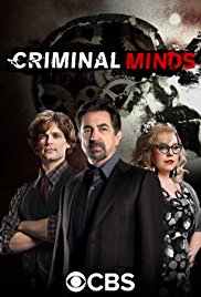 Сериал Мыслить как преступник 13 Сезон все серии подряд / Criminal Minds (2017)